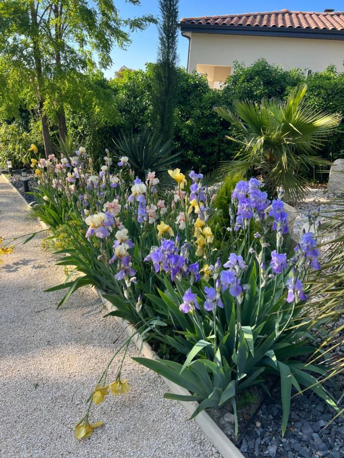 Les Troglodytes Du Ventoux Villa โบลแลน ภายนอก รูปภาพ
